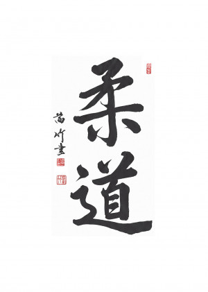 Japanese Judo Symbols
