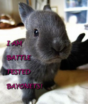 Charlie Sheen's Craziest Quotes, Presented by Adorable Bunnies