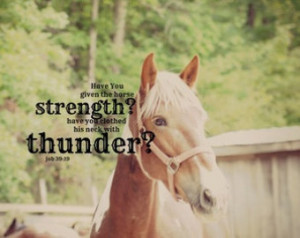 Job 39 Print Horse Scripture Equine Bible Verse Quote Christian ...