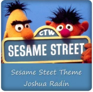 Joshua Radin Diskografisi