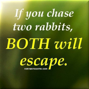 Focus quotes if you chase two rabbits both will escape.