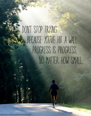 Don't Stop Trying Because You've Hit A Wall. Progress Is Progress, No ...