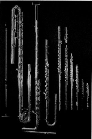 The Flute Concerti.