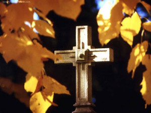 Bible crosses yellow flowers the cross in the heaven wallpapers