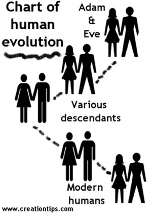 In order to evolve, you must stand still long enough for your Heart to ...