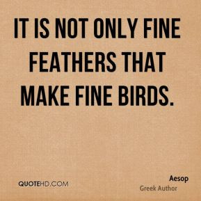 Feathers predate birds.