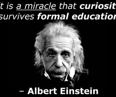 Einstein Quotes Fish...