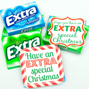 GiveExtraGum-Holiday-Gift-Idea_11.jpg