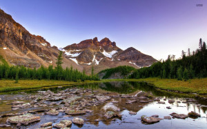 Mountain stream wallpaper 1920x1200