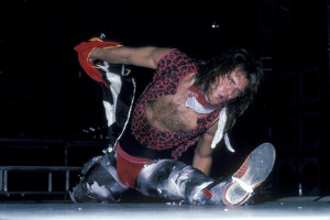 David Lee Roth Funny Quotes Gigolo Hasselhoff picture