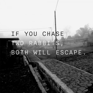 take that to heart: if you chase two rabbits - both will escape #quote ...