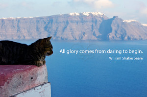 All glory comes from daring to begin. William Shakespeare