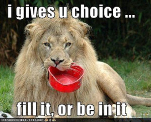 just taking a wild guess, but I think the horse doesn't like the ...