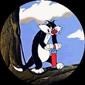 Poor Sylvester can't even catch a little Tweety Bird.