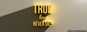 True Love Never Dies Quotes