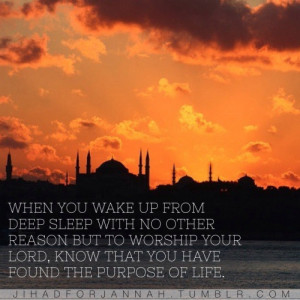 islamic-quotes:“When you wake up from deep sleep with no other ...