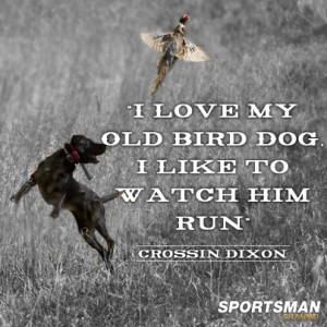 Hunting Dog Quote