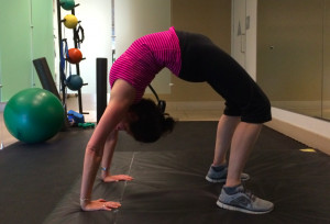 Jillian Michaels Dvd Rotation