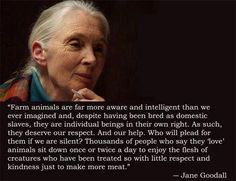 ... so little respect and kindness just to make more meat.