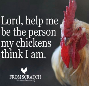 Chickens quote