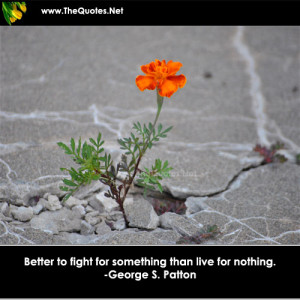 Better to fight for something than live for nothing.