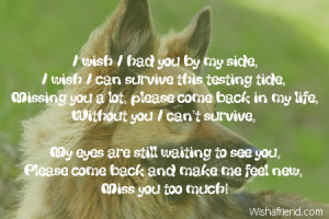 wish i had you by my side i wish i can survive this testing tide ...
