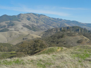 Scenes from Diablo Foothills...-dscn0332-3.jpg