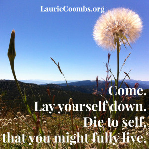 Jesus, die to self, die to live, Romans 12:1-2, deny yourself, take up ...
