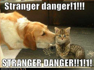 funny-dog-pictures-stranger-danger.jpg#stranger%20danger