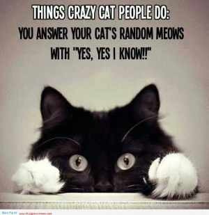 Things Crazy Cat People Do, You Answer Your Cats Random Meows With ...