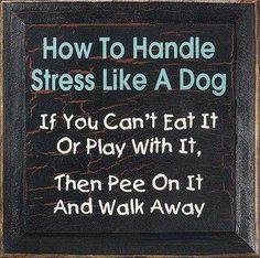 ... quotes/ stress free, word of wisdom, dogs, funni, motto, stress