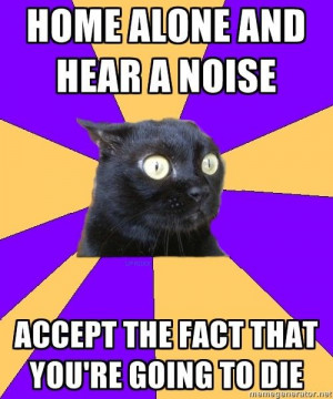 Social Anxiety Cat: me in meme form. true story