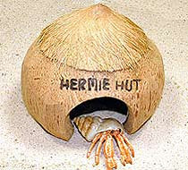 Hermie Hut w/Hair Top