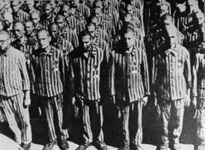 ... horrors of the holocaust collectively this group was subjected