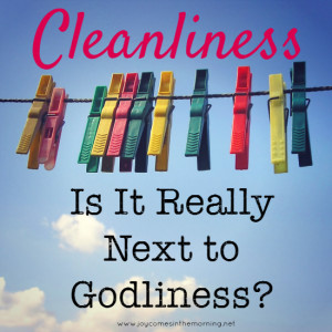 Cleanliness: Is it Really Next to Godliness? - Joy Comes in the ...