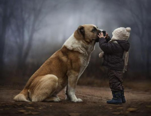 孩子与动物的纯真画面，俄罗斯女摄影师记录儿子 ...