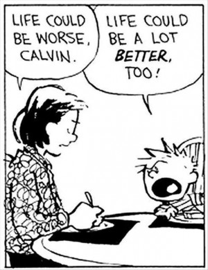 Calvin and Hobbes.... - Funny Stuff