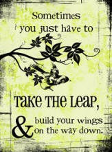 Sometimes you just have to take the leap and build your wings on the ...