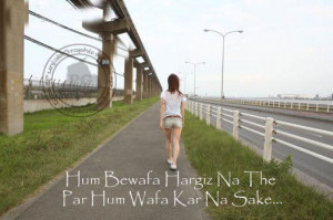Hum Bewafa Naa The Picture