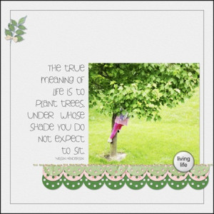 quote about trees with a fun picture of a tree