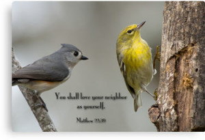 You shall love your neighbor as yourself by Bonnie T. Barry Follow