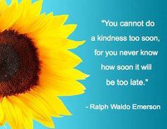 sunflower quote more sunflowers quotes sunflowers classroom quotes 3 ...