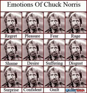 ... .net/images/2010/10/07/Emotions-of-Chuck-Norris.jpg_1286423394.jpg