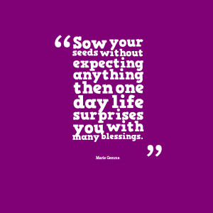 Quotes Picture: sow your seeds without expecting anything then one day ...