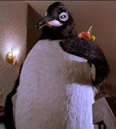 madison days and btw the penguin in billy madison is one of my ...