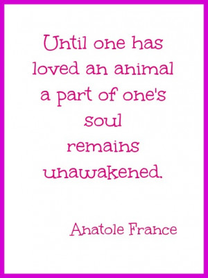 Ten Tips for Dealing with Loss of a Pet