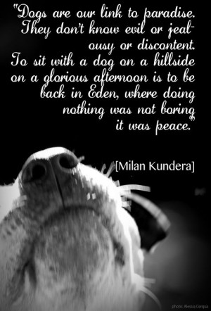 unconditional love more dogs quotes kundera quotes dog quotes quotes ...
