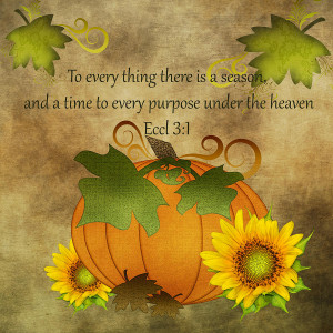 Autumn Harvest Pumpkin Digital Art