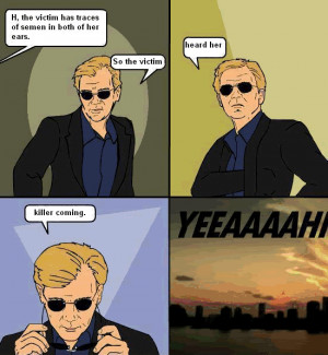 Re: Horatio Caine One-Liners Comic