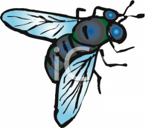 Related Pictures insects clip art free related quotes android ...